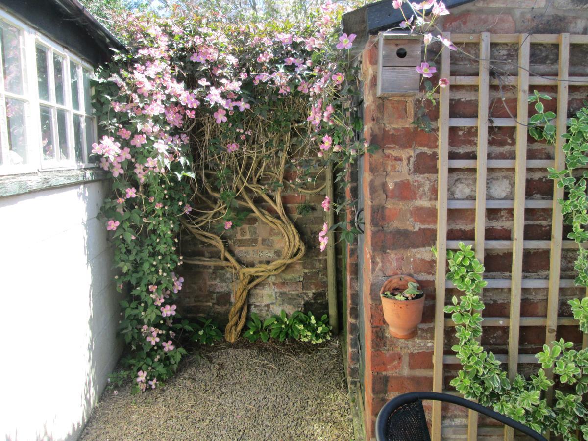 Borrowers Cottage Condover Buitenkant foto